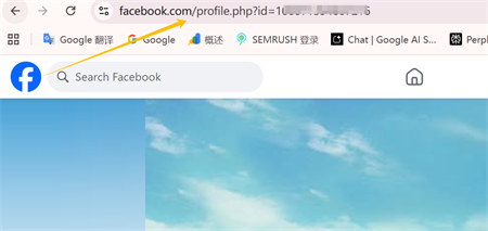 nasc pr&oacute;if&iacute;l facebook